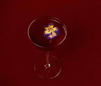 BBMAD_excl_cocktails