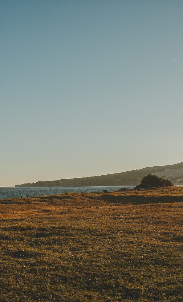 BBMAD_home_vinos 1 BBMAD home vinos 1 2